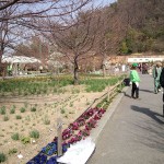 松山植木まつり