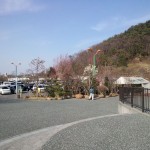 松山植木まつり２